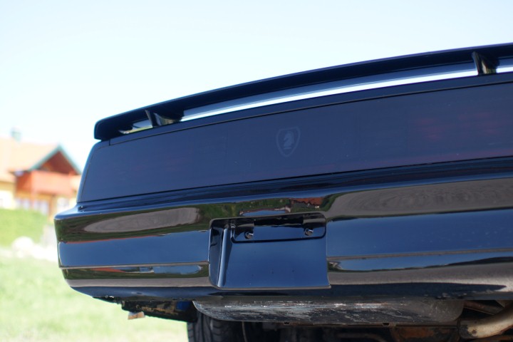 Das Tail Light Cover ist fertig!